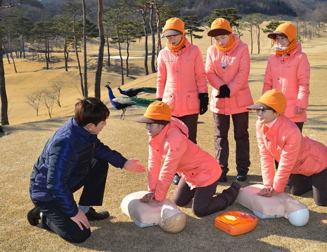 제일모직 골프장, 전 직원 CPR 자격 취득/2015-02-24(한국일보)