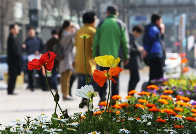 포근한 봄 날씨가 이어진 16일 오후 가벼운 옷차림을 한 시민들이 시청 앞 서울광장을 지나고 있다. 연합뉴스