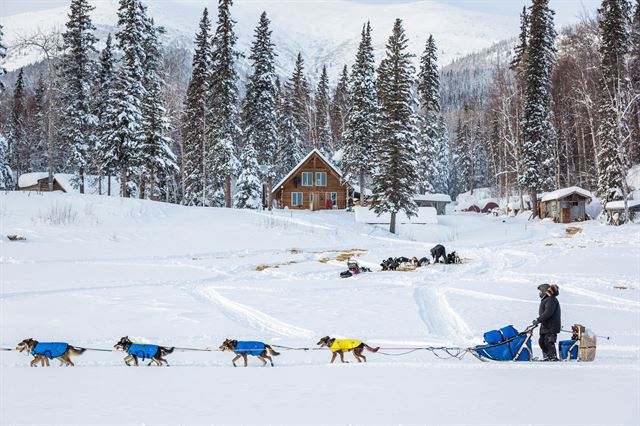 알래스카의 유명 '이디타로드 트레일(Iditarod Trail)' 레이스에 참가 중인 한 개썰매팀이 11일(현지시간) 타나나~루비 구간의 코크린 힐스 바이블 캠프 옆을 지나고 있다. AP 연합뉴스