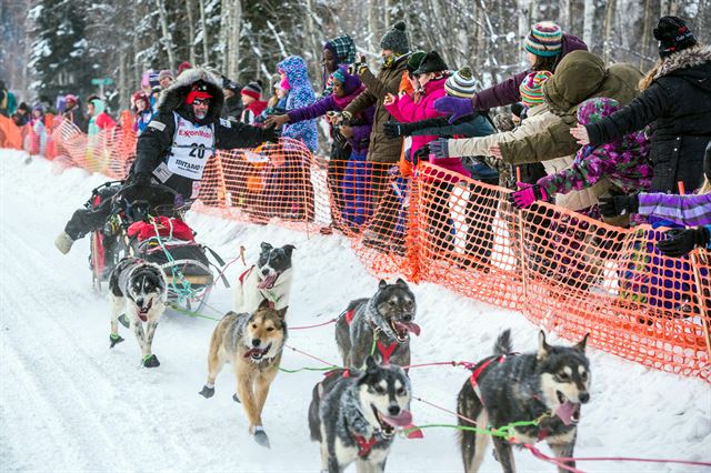 알래스카 페어뱅크스에서 9일(현지시간) '이디타로드 트레일(Iditarod Trail)' 레이스가 본격적으로 시작된 가운데 스콧 얀센과 썰매개들이 출발을 하며 팬들의 응원을 받고 있다. 궂은 기상여건을 감안, 금년부터는 산악지대를 피해 출발지를 북쪽으로 옮겨 1천 마일 구간을 횡단하게 된다. AP 연합뉴스