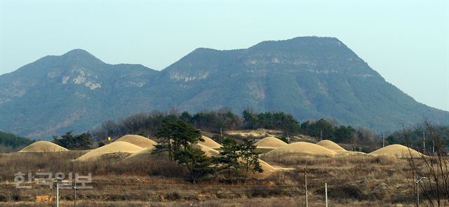 삼한시대 진한의 부족국가인 조문국 고분이 몰려있는 금성산 고분군