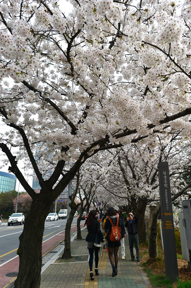 한국일보 자료사진