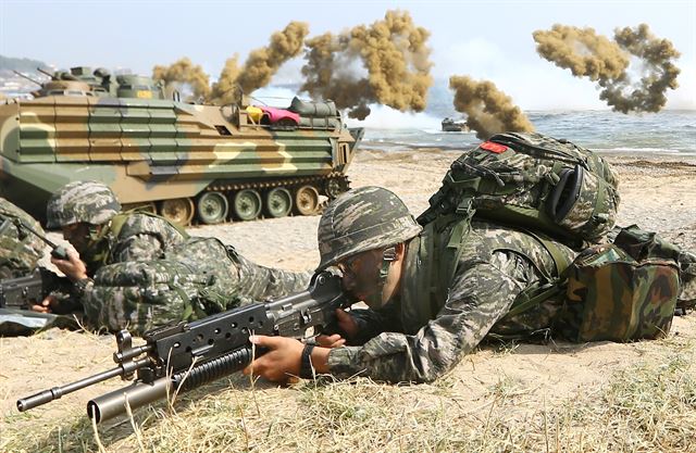 30일 경북 포항시 독석리 해안에서 열린 ‘2015 한미 해군ㆍ해병대 연합상륙훈련’에서 연합군이 장갑차와 위장 연막의 지원을 받으며 해안에 상륙하고 있다. 포항=뉴시스