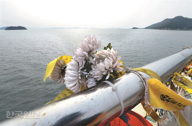 29일 전남 진도 팽목항에 세월호희생자 추모 하는 국화꽃이 바다를 향해 달려 있다. 신상순 선임기자 ssshin@hk.co.kr