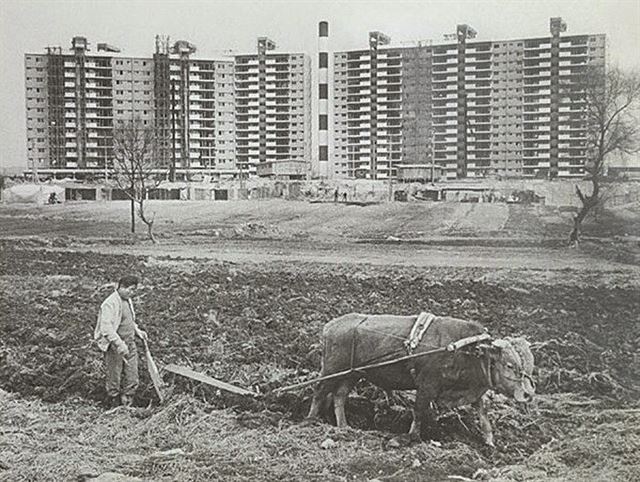 1976년 압구정동의 풍경이다. 무서운 속도로 들어선 강남 개발과 욕망의 상징 고층 아파트를 보며 밭을 일구는 농부는 무슨 생각을 했을까. 이 지역 땅값은 76년부터 3년 만에 7~8배 뛰었다. 천년의상상 제공