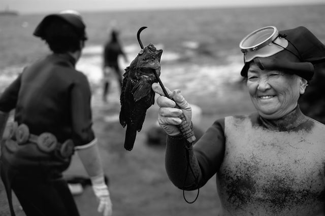 호미와 비슷한 ‘호맹이’로 물고기를 잡아 활짝 웃는 해녀. 데이비드 앨런 하비가 사진집 ‘제주 해녀’에서 포착한 강인하고 순박한 삶이다. 태학사 제공