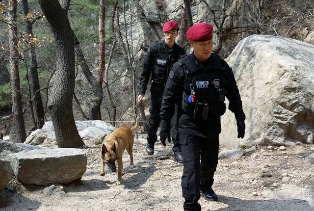 자원외교 비리 의혹에 연루돼 사전 구속영장이 청구된 성완종 전 경남기업 회장이 9일 유서를 남기고 잠적한 가운데, 탐지견을 동원한 경찰특공대원들이 서울 구기동 문수사로 향하는 등산로 인근을 수색하고 있다. 연합뉴스