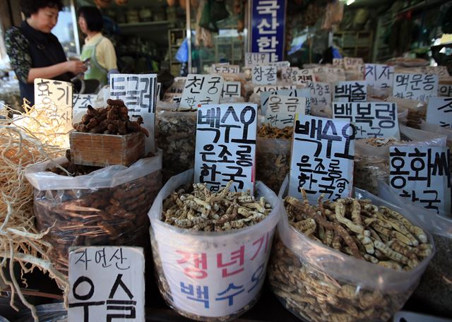 '가짜 백수오(약재)' 이엽우피소 논란으로 코스닥 시장이 출렁이고 약재 시장에서도 이엽우피소가 자취를 감췄다. 사진은 30일 오후 서울 동대문구 경동시장 약령시 한 매장에 진열된 백수오와 약재들. 약재상들은 최근 논란으로 약재시에서 이엽우피소를 찾기 힘들어졌다고 설명했다. 연합뉴스