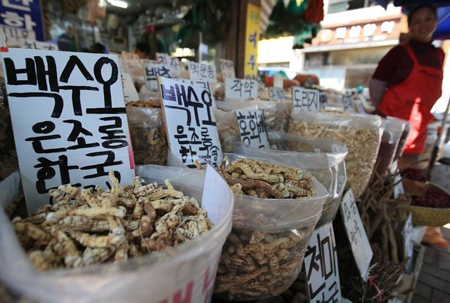 '가짜 백수오(약재)' 이엽우피소 논란으로 코스닥 시장이 출렁이고 약재 시장에서도 이엽우피소가 자취를 감췄다. 식품의약품안전처는 30일 '가짜 백수오' 논란을 빚어온 내츄럴엔도텍의 백수오 제품을 재조사한 결과 이엽우피소 성분이 검출됐다고 밝혔다. 연합뉴스