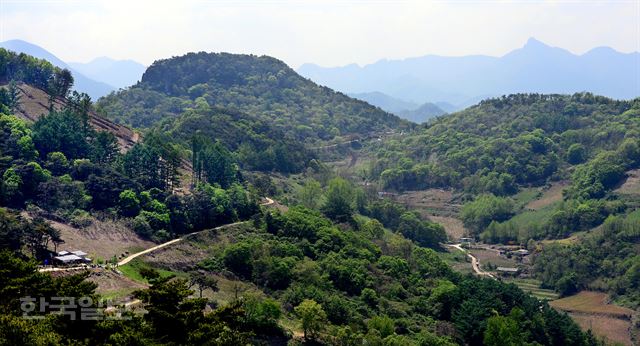 다불리는 해발 고도 400m가 안 되지만 분위기는 산골오지다. 비탈진 길가로 철마다 야생화가 지천이다.