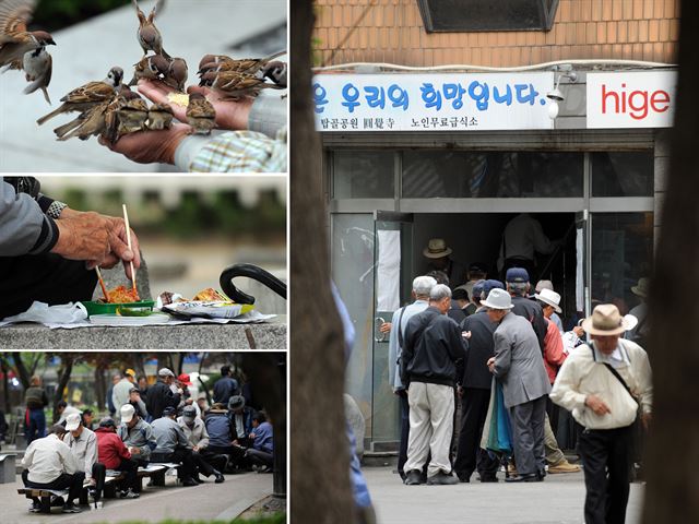 갈수록 노인 빈곤은 심각해질 거다. 용돈 수준인 현재 국민연금으론 이들의 생활을 지탱하기 어렵다. 공적연금 제도 강화가 긴요한 이유다. 그러나 대통령은 국민연금 소득대체율을 올리잔 여야 합의를 단칼에 베어버렸다. 사진은 서울 종묘공원에서 새에게 모이를 주고 혼자 식사를 하고 장기ㆍ바둑을 두며 시간을 보내고 탑골공원 뒷골목 노인무료급식소에서 줄 서 순번을 기다리는 노인들(왼쪽 위부터 시계 반대 방향). 2011년 찍힌 한국일보 자료사진