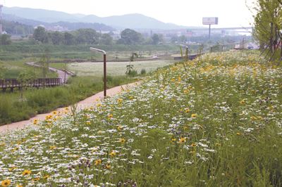 수향6경 두리생태공원