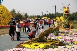 수도권매립지에서 매년 가을 열리고 있는 ‘드림파크 국화축제’는 수도권 대표적 축제로서 지역경제활성화에 크게 기여하고 있다.