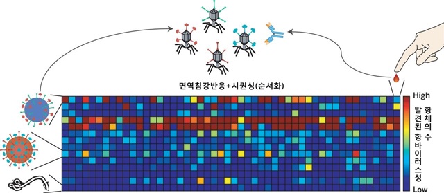 개인이 접촉한 거의 모든 바이러스를 밝혀내는 시나리오. 출처: 사이언스(http://www.sciencemag.org/content/348/6239/aaa0698)