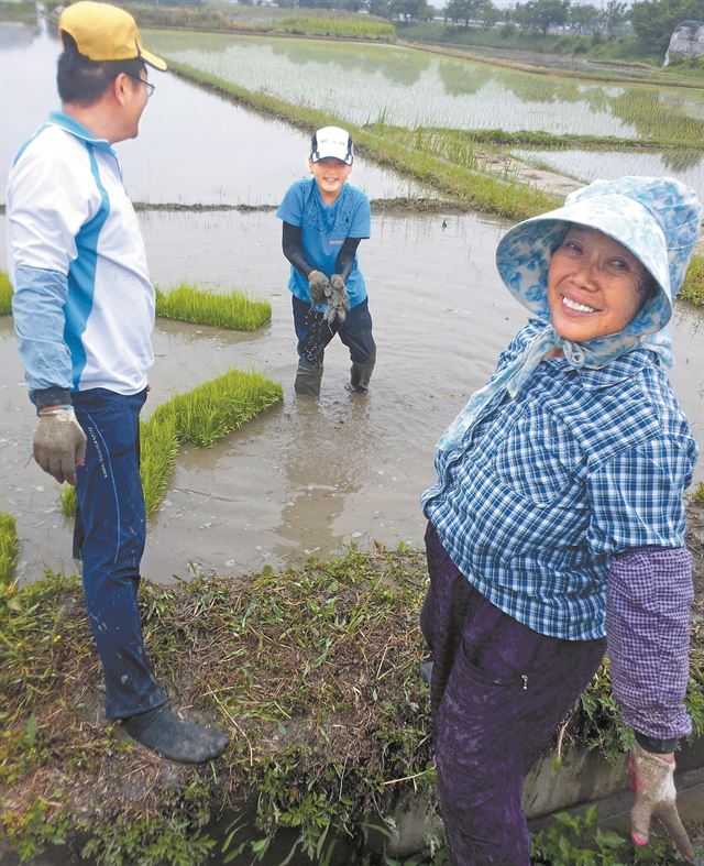 몸은 힘들어도 이웃과 함께하면 웃음꽃이 핀다. 못자리를 도와준 전 이장님댁 어머님과 아들 손자들이 모판을 떼어내 옮기는 작업을 하고 있다.