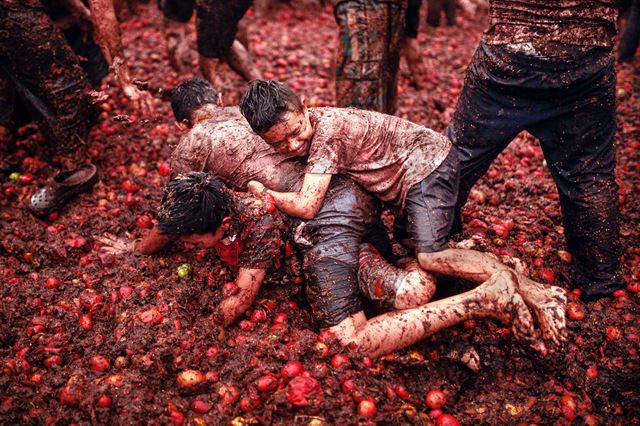 7일(현지시간) 콜롬비아 수타마르찬 지역에서 제9회 토마토 싸움 축제 ‘토마티나’가 열리고 있다. 신화 연합뉴스