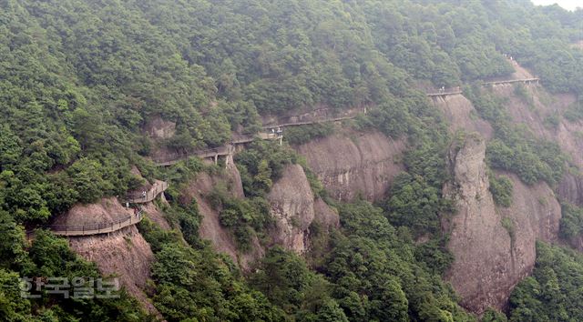 3시간 산책로의 절반 이상은 이런 길이다.