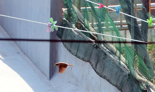 서울 용산구 후암동