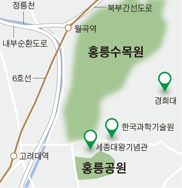 홍릉수목원/2015-06-22(한국일보)