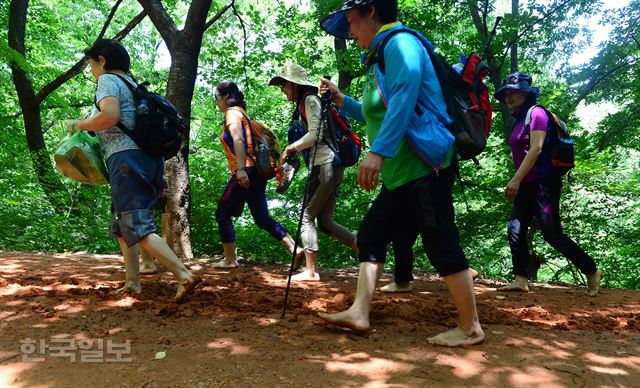 서두르지 않아서(못해서) 더욱 좋은 길