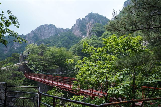 금강계곡을 공중에서 감상할 수 있는 금강구름다리. 구름다리 뒤쪽으로 삼선사다리가 보인다.