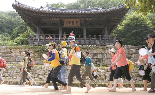 문경시 문경새재에서 22일 열린 2015 세계군인체육대회 성공개최를 기원하는 ‘오감만足 2015 문경새재맨발페스티벌’에 참가한 시민들이 맨발로 산책로를 걷고 있다. 왕태석기자 kingwang@hankookilbo.com