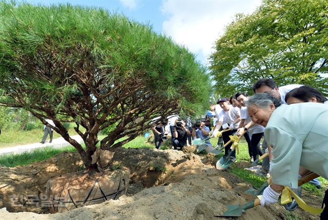 일본군 위안부 피해자인 길원옥 할머니(맨 오른쪽)가 3일 서울 상암동 월드컵공원 내 평화의 공원에서 소나무를 심으며 강제 징용 소녀들을 추모하는 '소녀들을 기억하는 숲' 조성에 첫 삽을 뜨고 있다. 서재훈기자 spring@hankookilbo.com