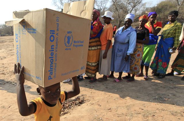 짐바브웨 하라레 남쪽에서 약 450km 떨어진 마을에서 한 어린 소년이 유엔 세계식량계획(WFP)이 나눠주는 물품을 받아 머리에 이고 걸어가고 있다. 유엔과 짐바브웨 정부에 따르면 150여만명의 주민들이 흉작과 폭우로 인한 심각한 식량 부족에 직면해 있다고 한다. AP 연합뉴스