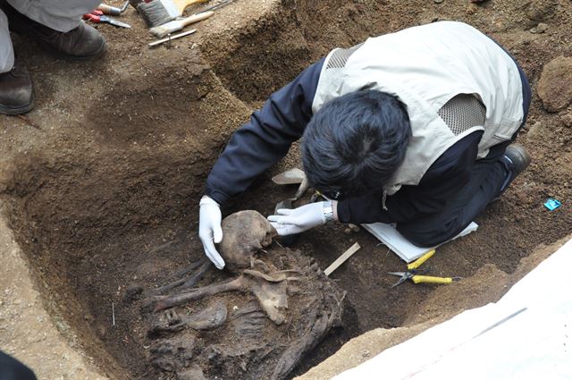 한국인 희생자 유골 발굴 모습. 평화디딤돌 제공