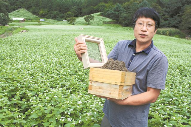 토종벌 지킴이 김대립씨가 14일 충북 청주시 낭성면 추정리 밀원에서 해충방지벌통으로 낭충봉아부패병을 옮기는 명나방애벌레 차단 원리를 설명하고 있다.