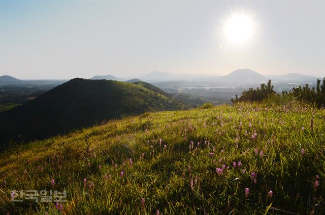 제주 무속신앙의 총본산이자 18개나 되는 오름을 거느린 송당마을에 신당과 오름을 잇는 명품 트레일이 조성됐다. 안돌오름 정상에서 내려다 본 송당마을 주변의 오름 평원. 이제 막 떠오른 햇살을 받아 이슬 머금은 풀과 군락을 이룬 무릇꽃들이 빛을 발하고 있다. 제주=이성원기자