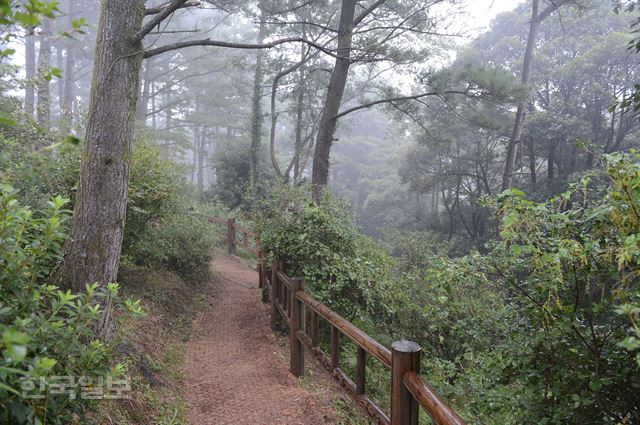 방선문 주변 산책로.