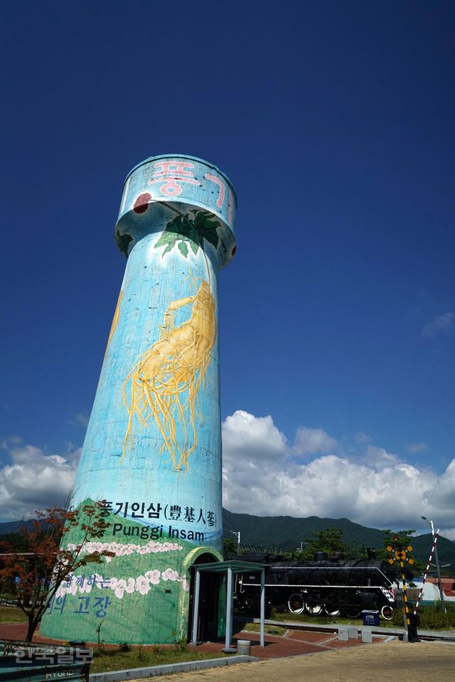 풍기는 난세에 몸을 보전할 최적지라는 ‘정감록’의 말을 믿고 많은 민초들이 몰려들었던 곳. 풍기역에는 급수탑이 남아있다. 증기기관차에 물을 공급해주던 급수탑이 이젠 지역 특산물인 풍기인삼을 알리는 역할을 하고 있다. 이성원기자 sungwon@hankookilbo.com