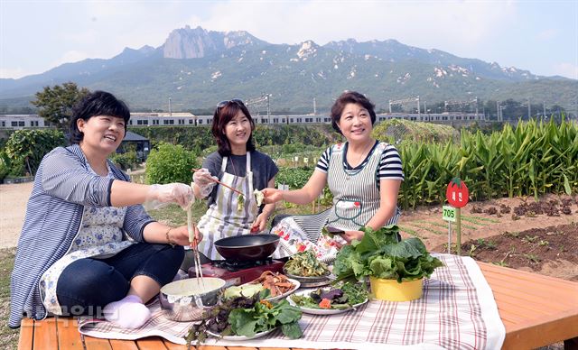 도시농부 과정을 함께 수료한 신경자(왼쪽부터), 박동주, 윤원숙씨가 서울 도봉구 도봉동 친환경 텃밭에서 수확한 채소로 튀김 요리를 하고 있다. 배우한기자 bwh3140@hankookilbo.com