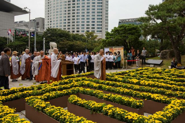 /지난해 9월 열린 봉은사 국화축제에서 참석자들이 노란 국화꽃 물결을 바라보고 있다. 봉은사 제공