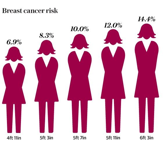 스웨덴 의과대학 카롤린스카 연구소에 따르면 키가 10cm가 클수록 유방암 발병률이 20% 씩 증가한다