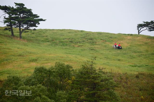 하늘목장 2단지에서의 외승