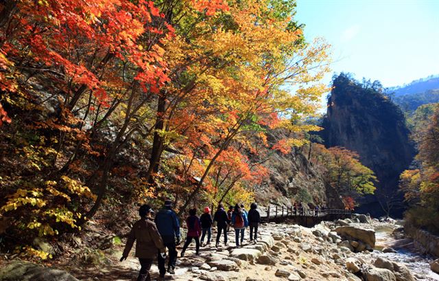 설악산 단풍. 사진=한국관광공사 제공