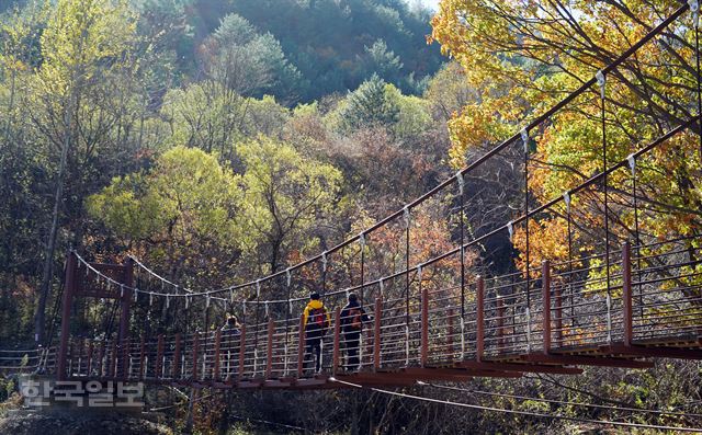 작은 계곡엔 출렁다리와 나무 데크.