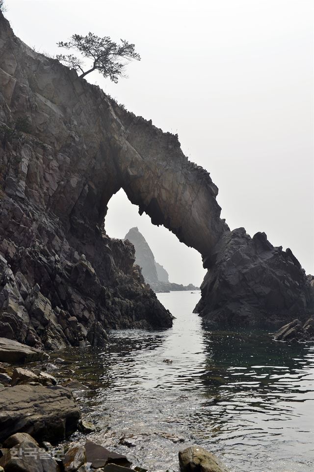 황금산 해변의 코끼리바위.