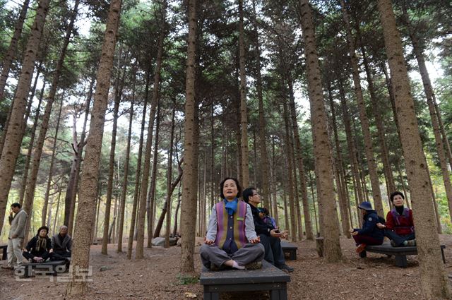 그림 1지난달 29일 경기 과천시 서울대공원 치유숲에서 산림치유프로그램 참가자들이 전나무 숲에서 명상을 하고 있다. 신상순 선임기자ssshin@hankookilbo.com