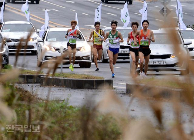 [저작권 한국일보]한반도통일 대역전 경주대회 첫날인 17일 제2소구인 도련2동-함덕리 구간에서 선수들이 갈대가 핀 도로를 역주하고 있다. 제주=고영권기자youngkoh@hankookilbo.com