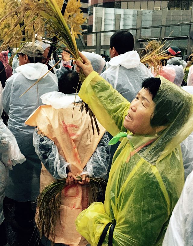 지난 14일 서울 남대문 앞에서 열린 농민대회 참가한 여성농민이 나락을 묶은 다발을 들고 구호를 외치고 있다.