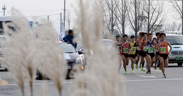 제61회 한반도통일 대역전 경주대회 나흘째인 20일 선수들이 억새가 핀 직산읍 도로를 달리고 있다.천안=고영권기자youngkoh@hankookilbo,com