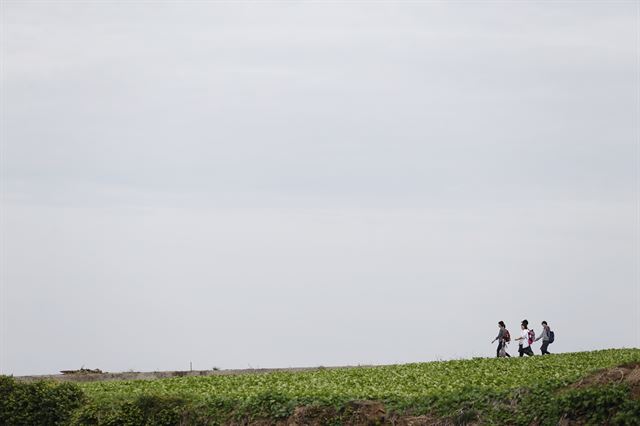 제주올레 자매의 길인 일본 규슈올레 17번째길 나가사키현 미나미시마바라 코스를 걷는 올레꾼들. 사진제공=사단법인 제주올레.