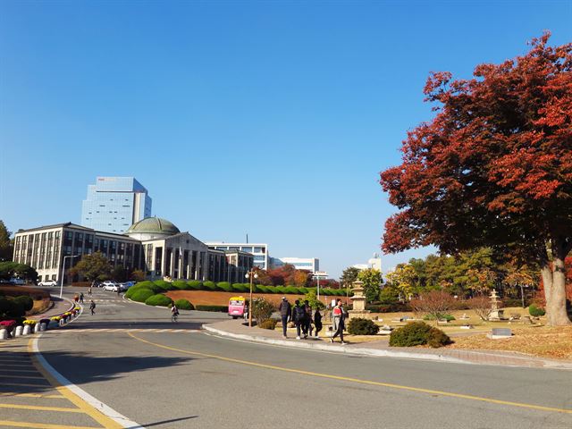 경북대 전경. 한국일보 자료사진