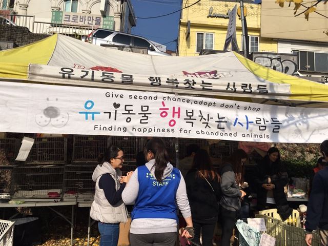 서울 용산구 이태원에서는 매주 토요일 다음 카페 유기동물 행복찾는 사람들 회원들이 반려동물 입양행사를 연다.