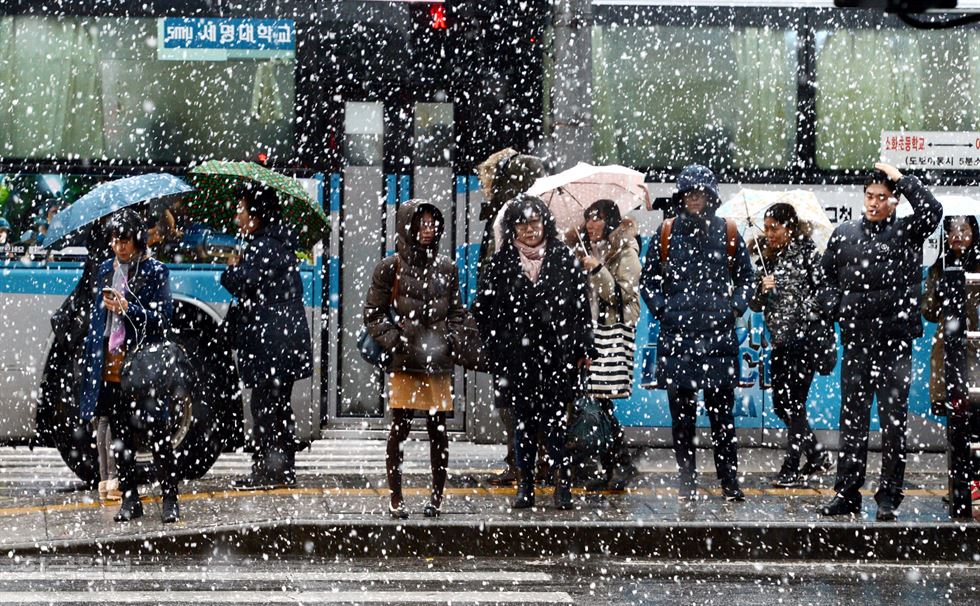 전국에 많은 눈이 내리는 가운데 3일 오전 서울 중구 세종대로에 출근길 시민들이 횡단보도를 건너고 있다. 홍인기기자 hongik@hankookilbo.com