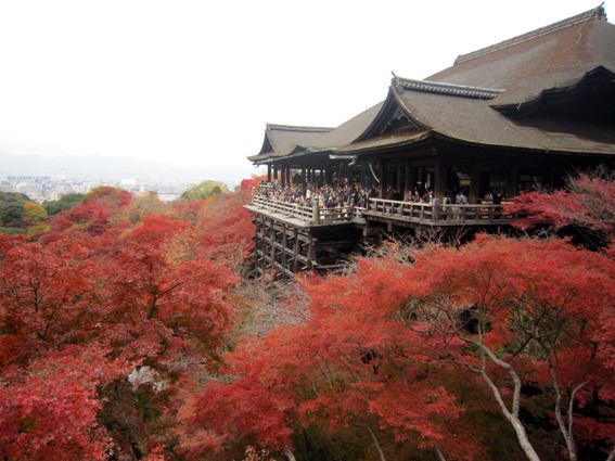 일본 교토의 대표적 명소인 기요미즈테라(淸水寺)의 가을 풍경. 교토시는 일본 정부기관 문화청의 교토 이전을 강력히 요구하고 있다.