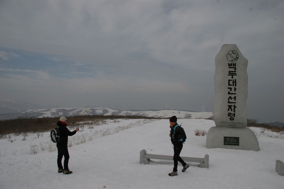 산꼭대기 고랭지 채소밭인 안반덕이는 한겨울 아름다운 설국으로 변신한다. 한국일보 자료사진